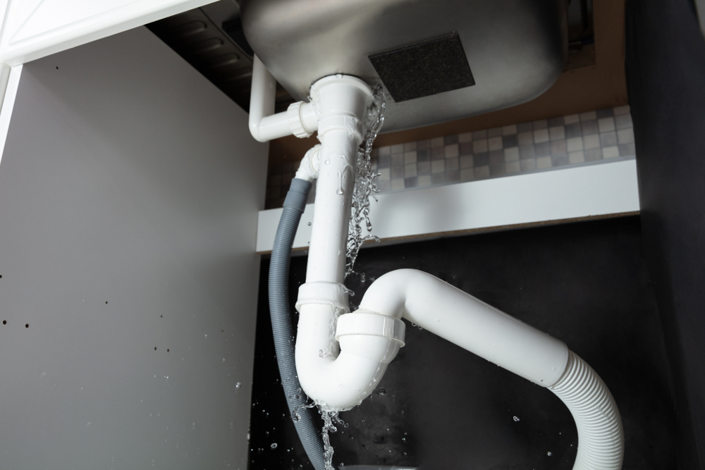 Repairing Plumbing Systems