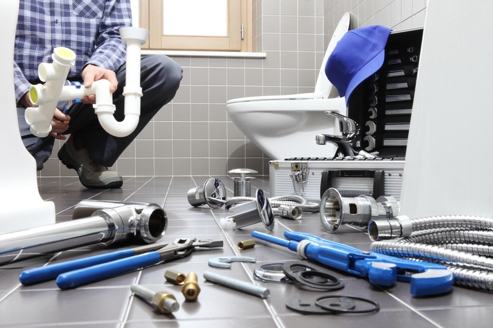 Toilet Repairing Service